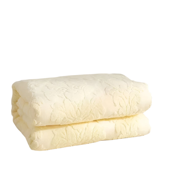 Towel Blanket
